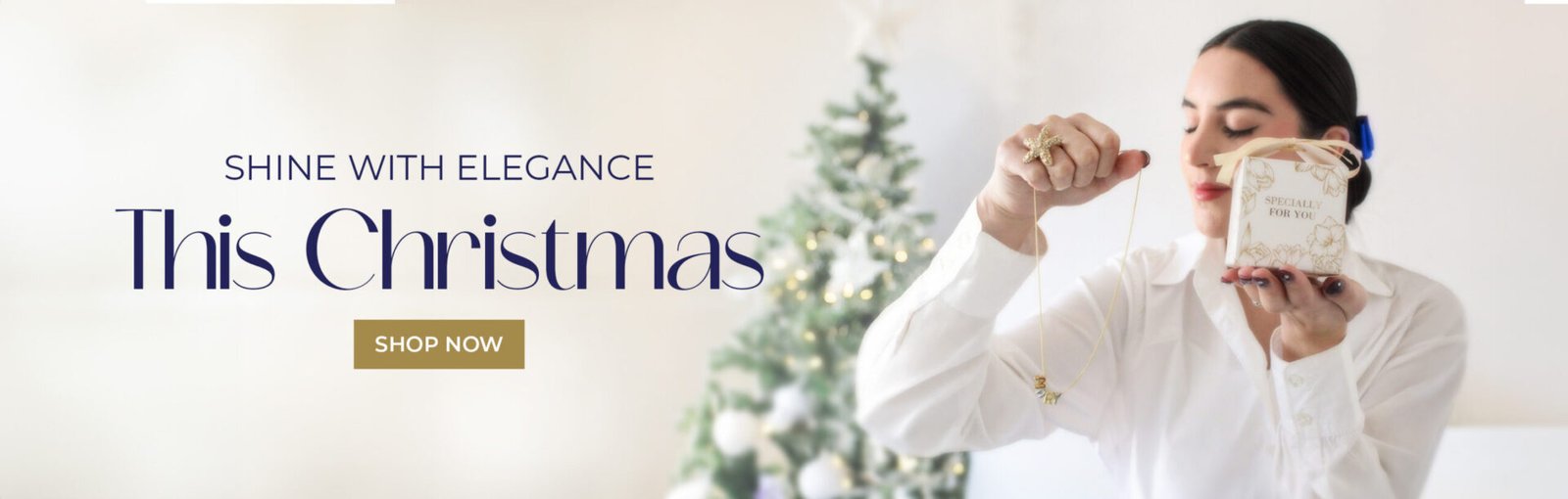 plantilla-banner-home